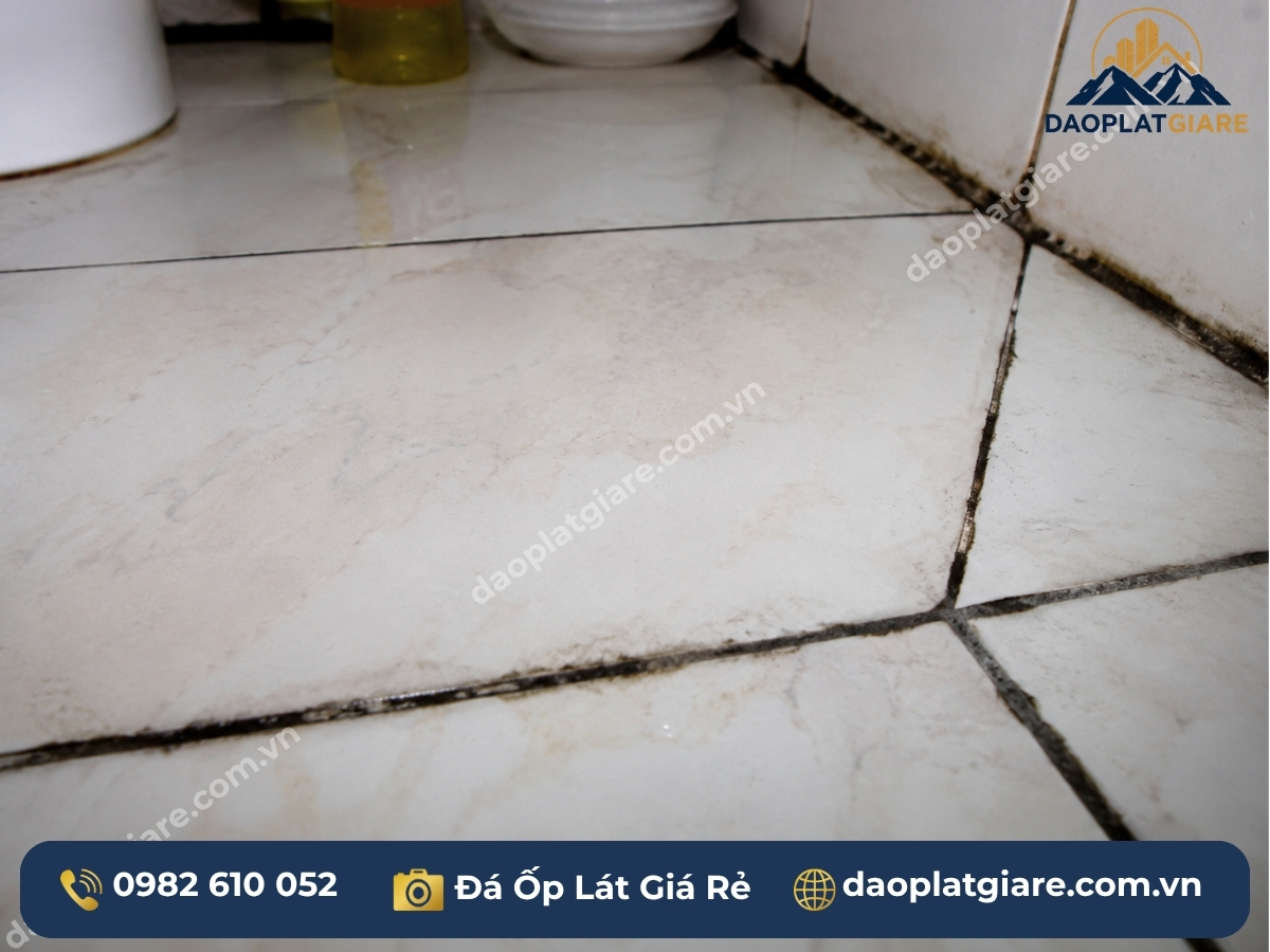 mạch chà ron đá ốp lát bị đen mốc lỗi vật liệu sai
