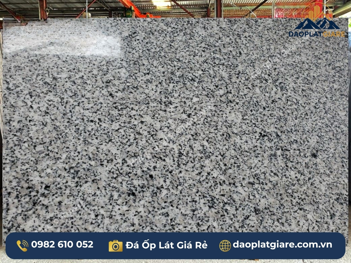 đá granite xám Bình Định close-up vân đen trắng kết cấu tự nhiên
